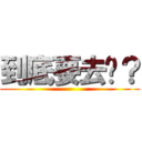 到底要去哪？ ()