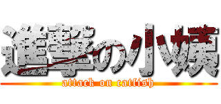 進撃の小姨 (attack on catfish)