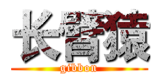 长臂猿 (gibbon)
