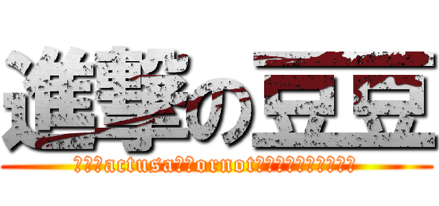 進撃の豆豆 (不愧是actusa豬屁ornot豬屁黑面拉屁不拉屎豆)