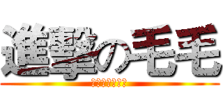 進擊の毛毛 (毛毛永遠是毛毛)