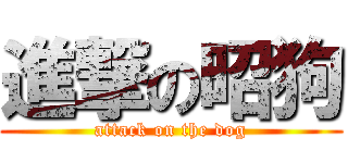 進撃の昭狗 (attack on the dog)