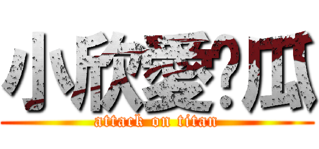 小欣愛傻瓜 (attack on titan)