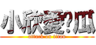 小欣愛傻瓜 (attack on titan)