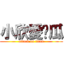 小欣愛傻瓜 (attack on titan)