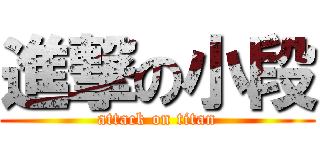 進撃の小段 (attack on titan)