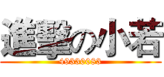 進擊の小若 (49330083)