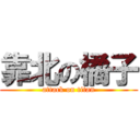 靠北の橘子 (attack on titan)
