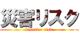 災害リスク (disaster risk)