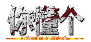 你懂个 (attack on titan)