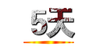 ５天 ()