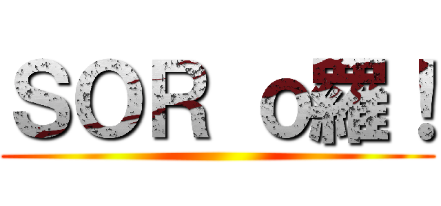 ＳＯＲ ｏ羅！ ()