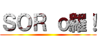 ＳＯＲ ｏ羅！ ()