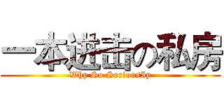 一本进击の私房 (Why So SeriousIy)