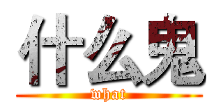 什么鬼 (what)