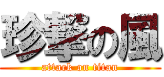 珍撃の風 (attack on titan)