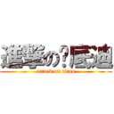 進撃の貓底迪 (attack on titan)