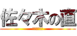 佐々木の直 (なお　ささき)