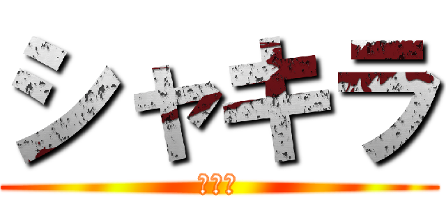 シャキラ (♡＿♡)