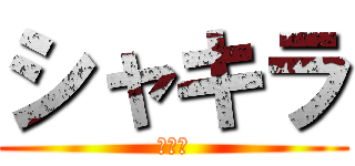 シャキラ (♡＿♡)