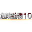 危険動物１０ (attack on titan)