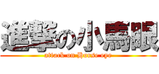 進撃の小馬眼 (attack on Horse eye)