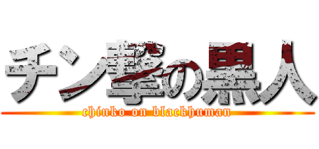 チン撃の黒人 (chinko on blackhuman)