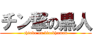 チン撃の黒人 (chinko on blackhuman)