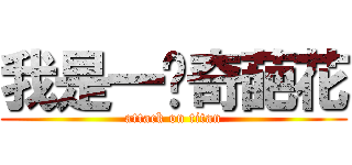 我是一朵奇葩花 (attack on titan)
