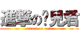 進撃の貓兒君 (attack on cata)