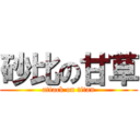 砂比の甘草 (attack on titan)