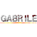 ＧＡＢＲＩＬＥ (ミカサアッカーマン)