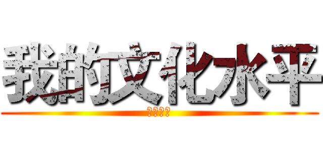 我的文化水平 (你也知道)