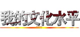 我的文化水平 (你也知道)