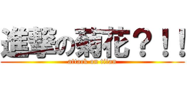 進撃の菊花？！！ (attack on titan)