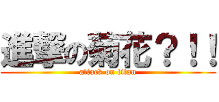 進撃の菊花？！！ (attack on titan)