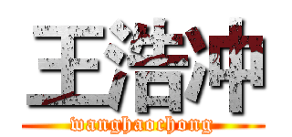 王浩冲 (wanghaochong)