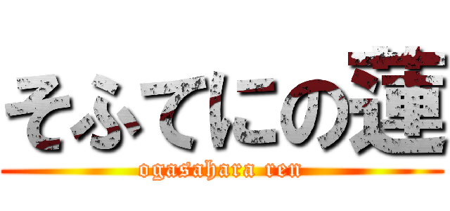 そふてにの蓮 (ogasahara ren)