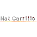 Ｎａｔ Ｃａｒｒｉｌｌｏ  (Videos nuevos lunes y viernes )