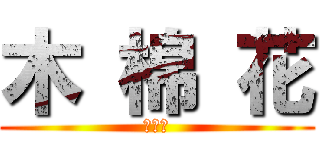 木 棉 花 (八八折)