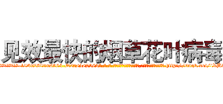 见效最快的烟草花叶病毒 (见效最快的烟草花叶病毒【电-186x2687x6963-Q278180069元-吉-药-业】我们做的是长期生意,靠的是老客户长期支持 http://sngk.net/iXBvZM
)