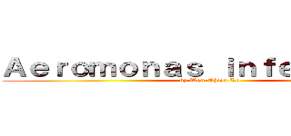 Ａｅｒｏｍｏｎａｓ ｉｎｆｅｃｔｉｏｎｓ (by Wen-Chien Ko)