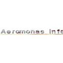 Ａｅｒｏｍｏｎａｓ ｉｎｆｅｃｔｉｏｎｓ (by Wen-Chien Ko)