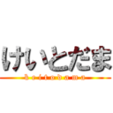 けいとだま (k e i t o d a m a)