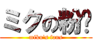 ミクの粉丝 (miku's fans)