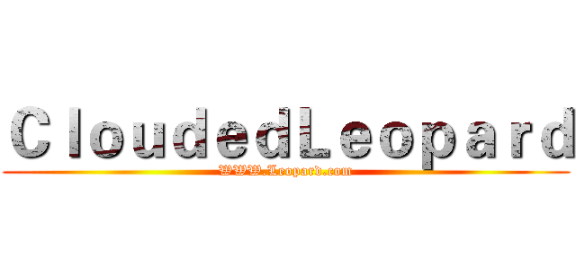 ＣｌｏｕｄｅｄＬｅｏｐａｒｄ (WWW.Leopard.com)