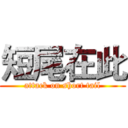 短尾在此 (attack on short tail)
