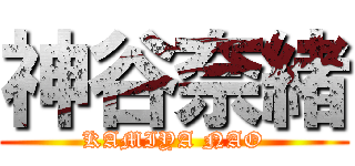 神谷奈緒 (KAMIYA NAO)