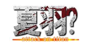 夏羽羿 (attack on titan)