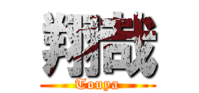 翔哉 (Touya)